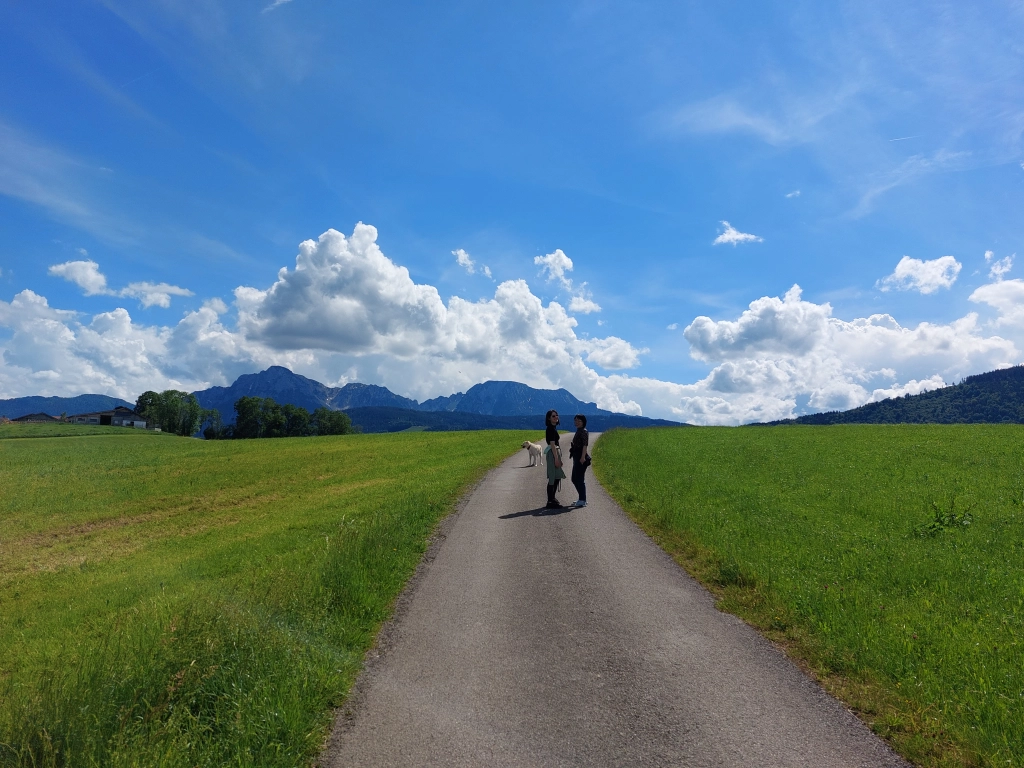 Wandern um Steinhögl