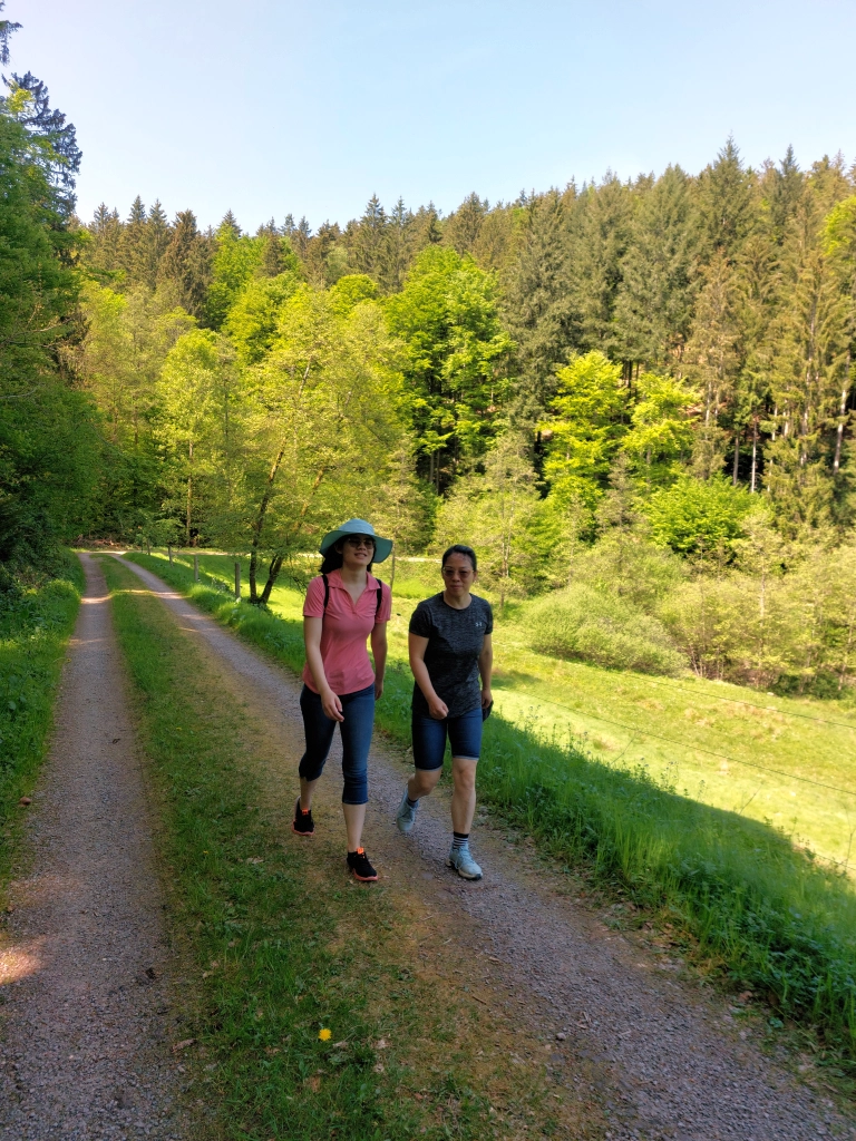 Wandern