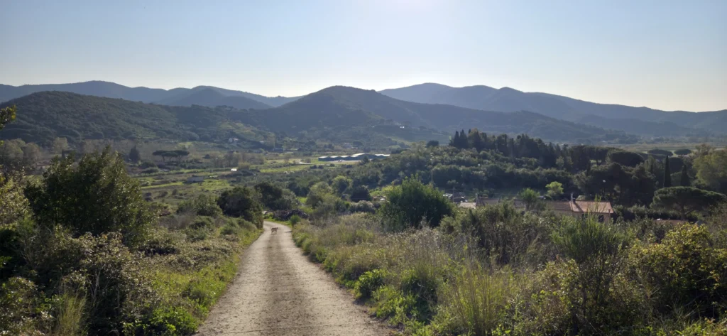 Blick auf die Zufahrt zum Ferienhaus Fam. Kiefer