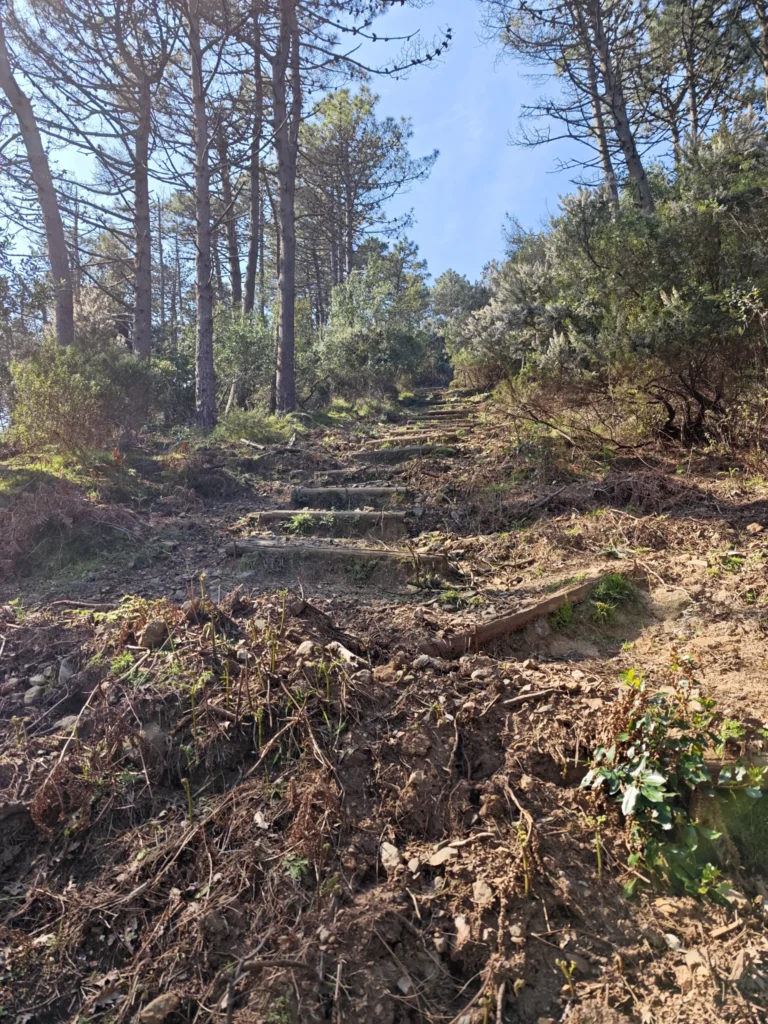 Der Weg in den Bergen von Marina di Campo zum Monte Perone