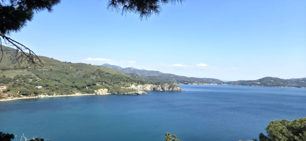 Blick auf die Küste von Elba
