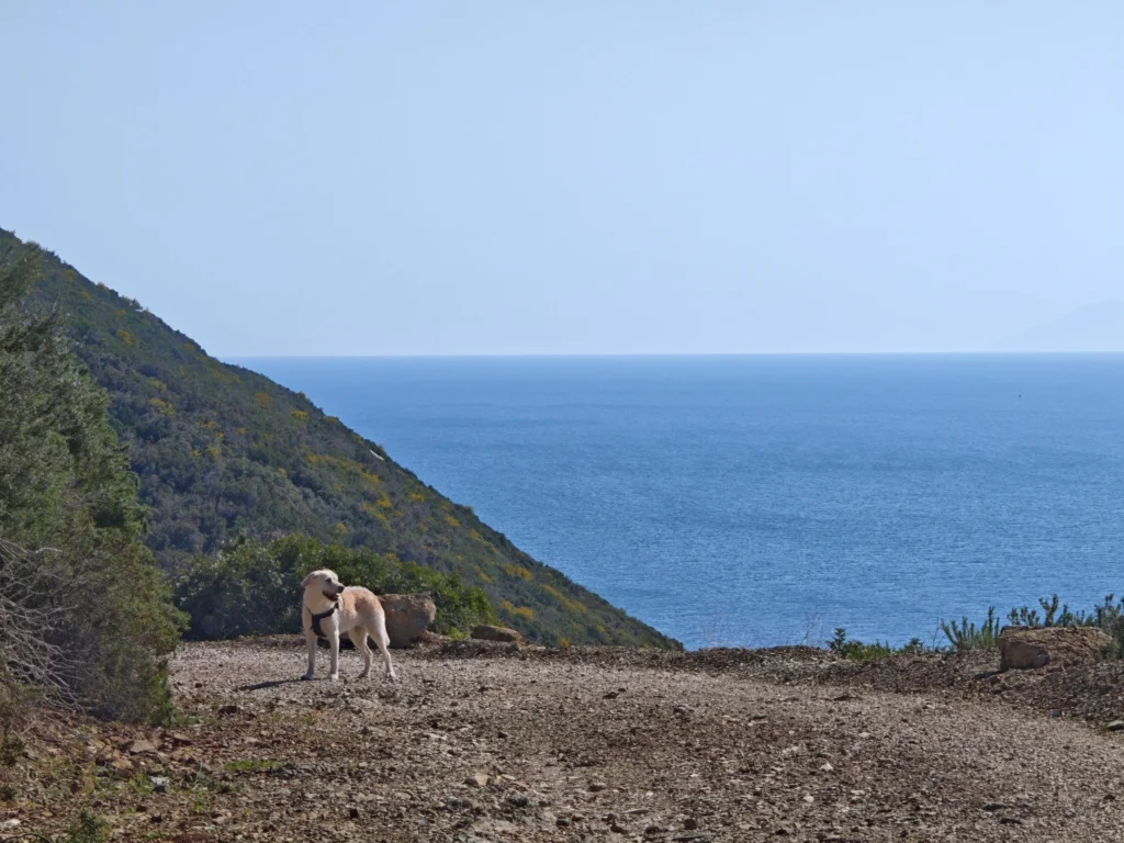 Luna mit der Küste von ELBA im Hintergrund