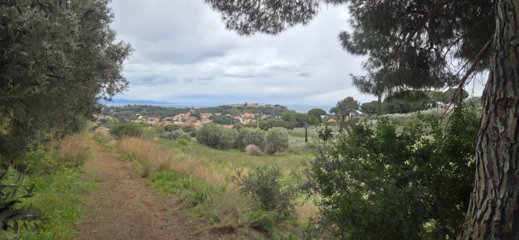 Blick auf Porto Azzuro