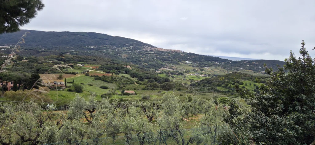 Blick auf grüne Landschaft und Capoliveri