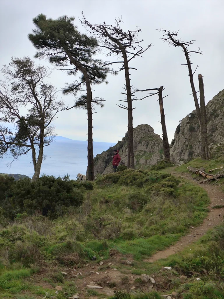 leicht neben dem Monte Castello. Der Abstieg beginnt.
