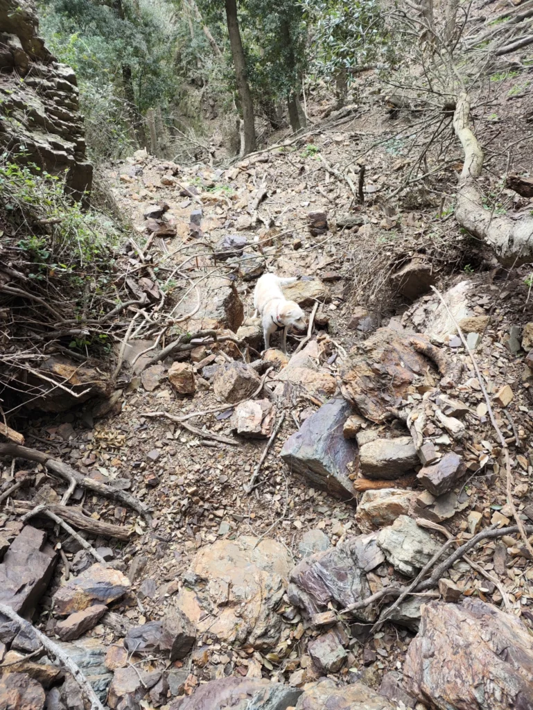 Blick auf den felsigen Weg