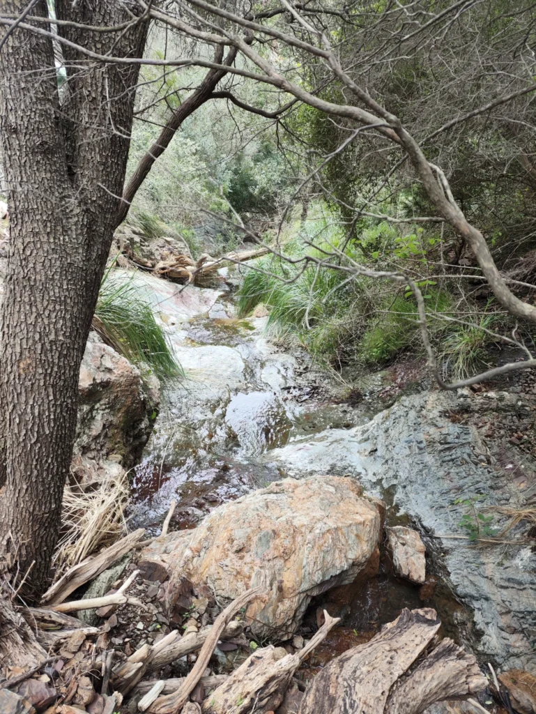 Der felsige Weg wird durch einen Bachlauf ergänzt