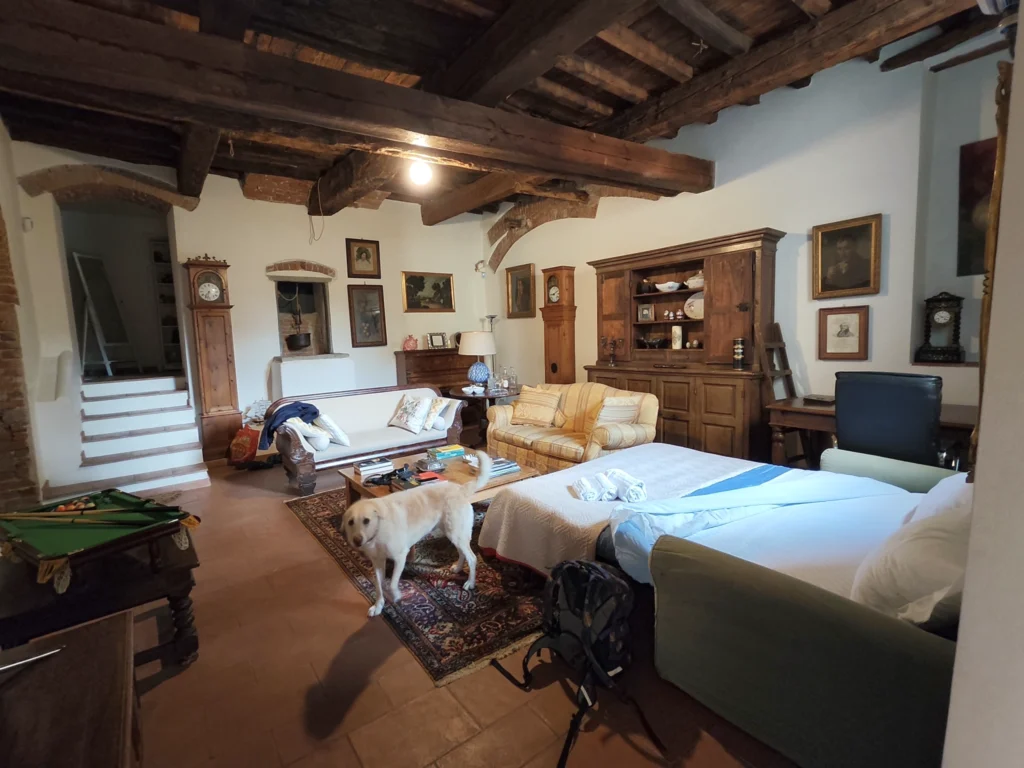 Blick in das Wohnzimmer